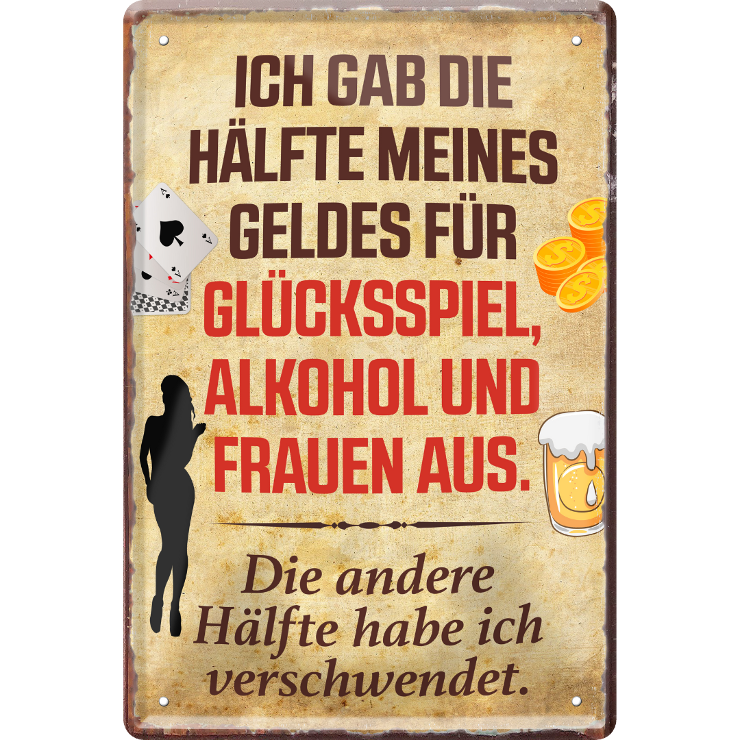 Einfach verschwendet Blechschild 20 x 30 cm