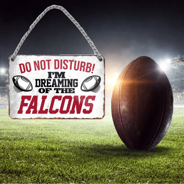 Falcons Fanartikel Blechschild 18 x 12 cm - Man Cave Germany Blechschild